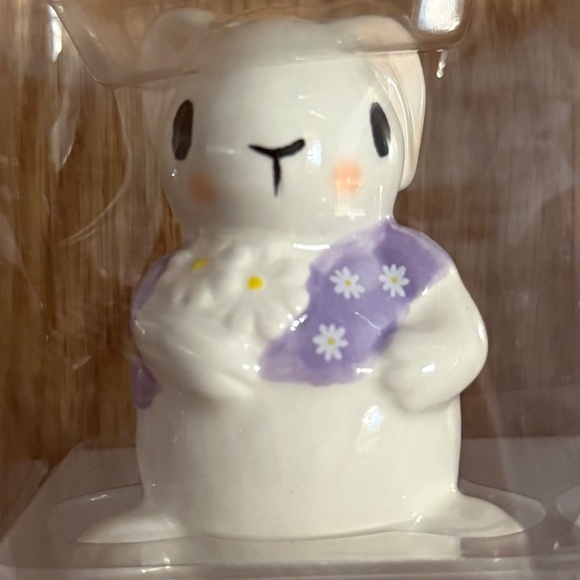 10 Strawberry Street Easter Rabbit Salt & Pepper Shakers - Picture 3 of 7